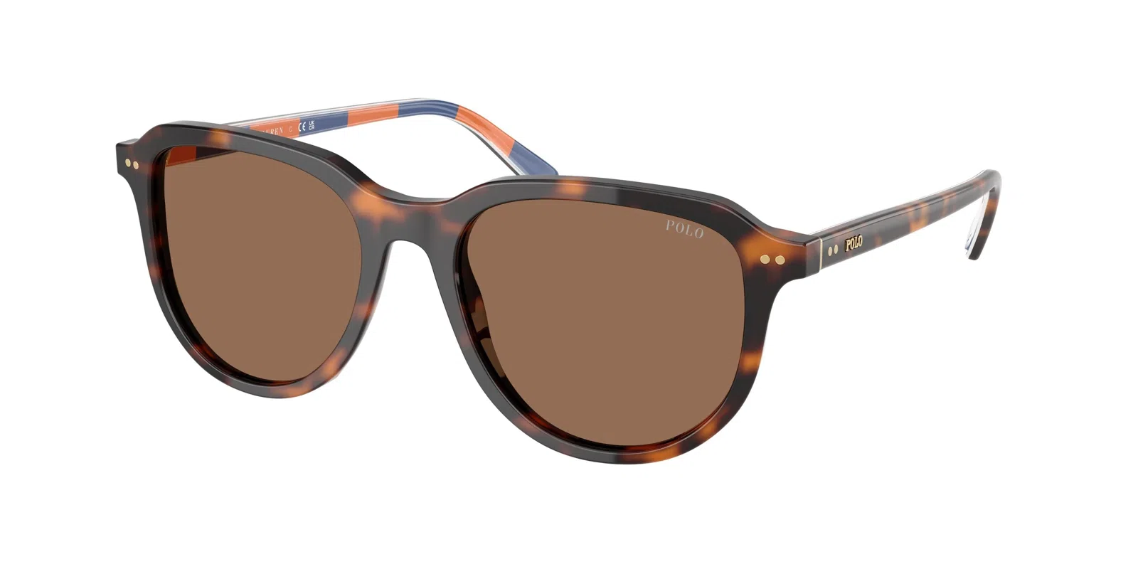 Polo 4225 Sunglasses - view 4